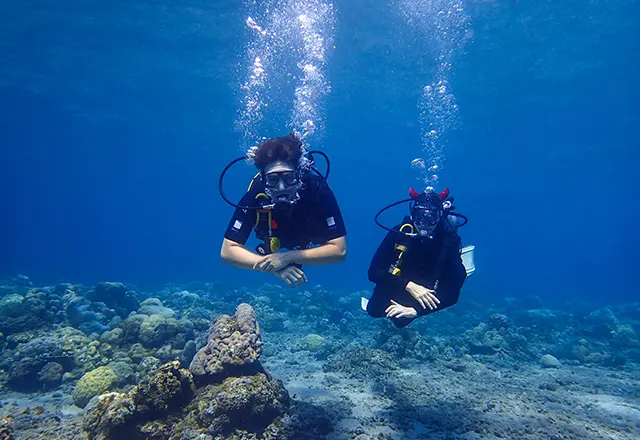 Plongee sous-marine a Kas